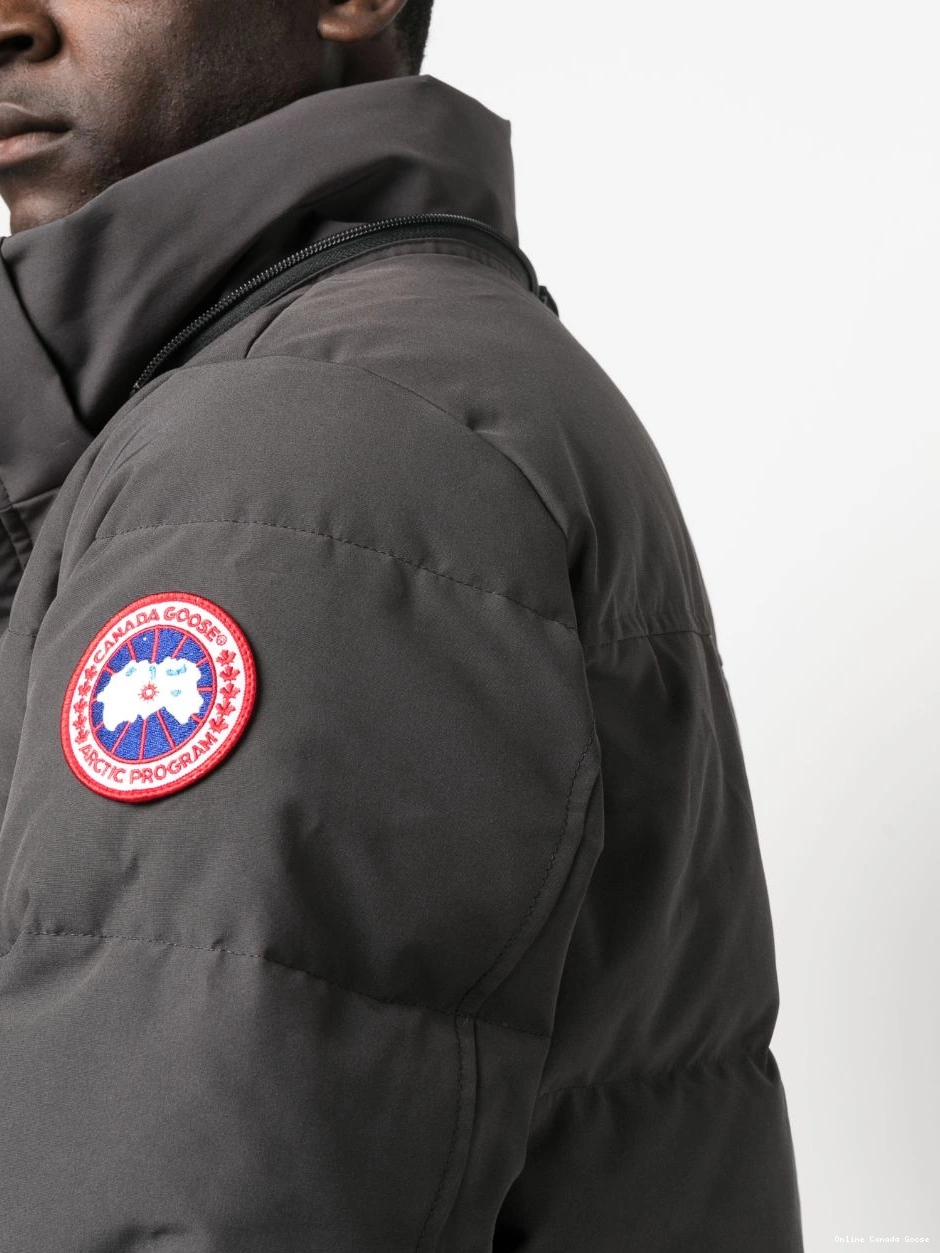 Cheap hooded Men Wyndham down Canada Goose parka 0307